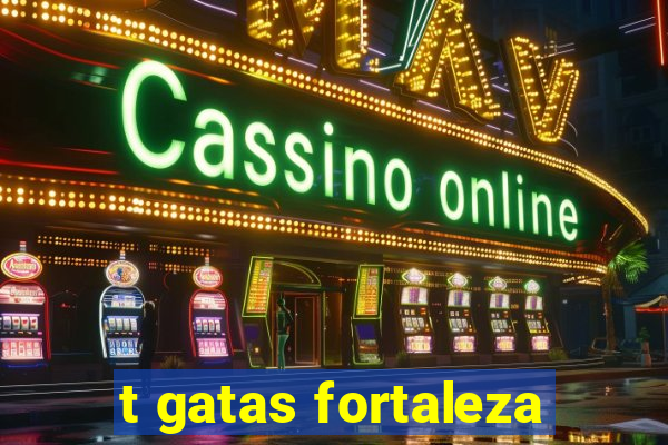 t gatas fortaleza